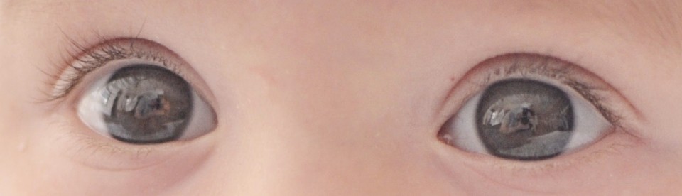 EMDR Therapy in Norfolk & Suffolk